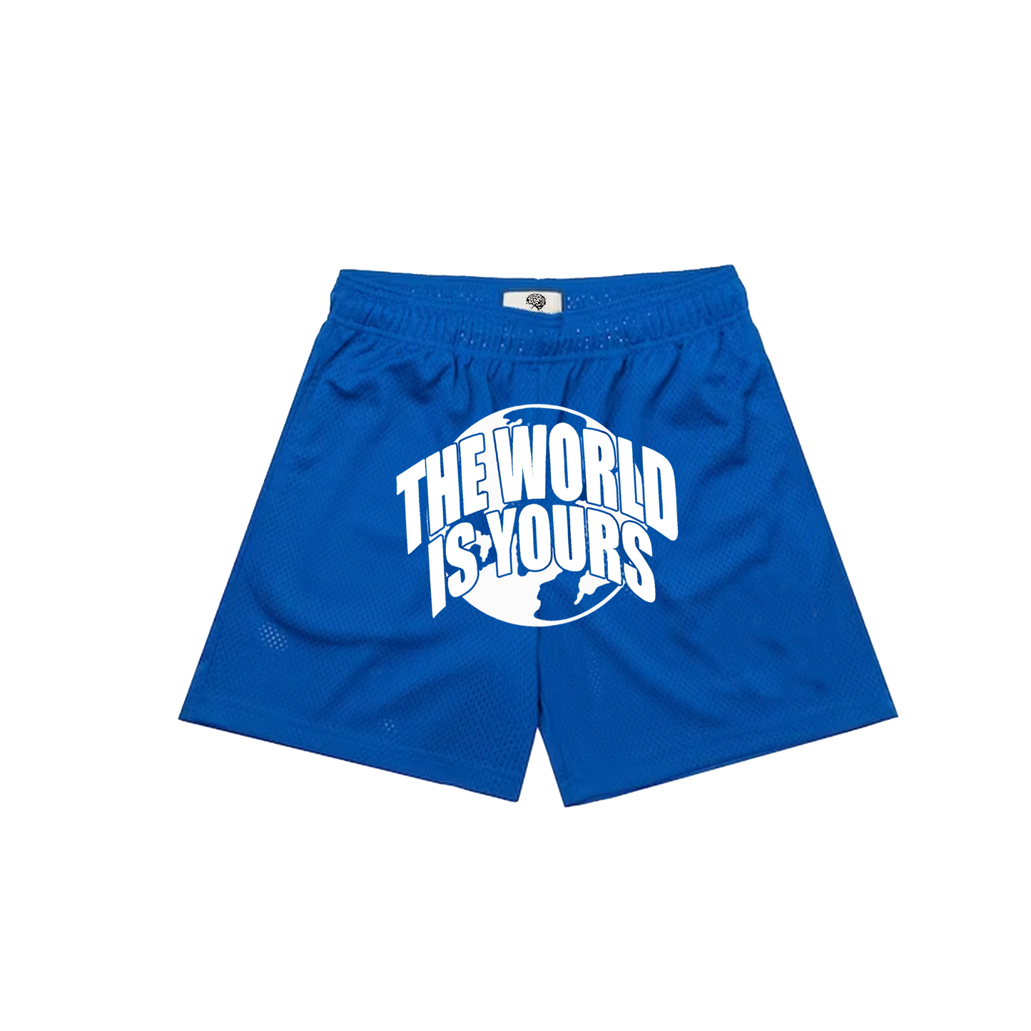 The World Is Yours Blue Shorts